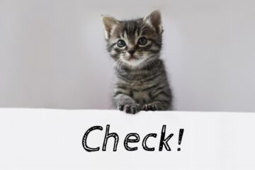 猫のチェックイメージ